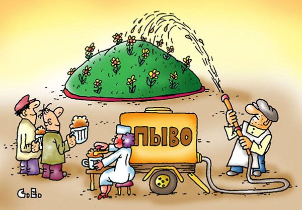 Сергей Ермилов: Клумба